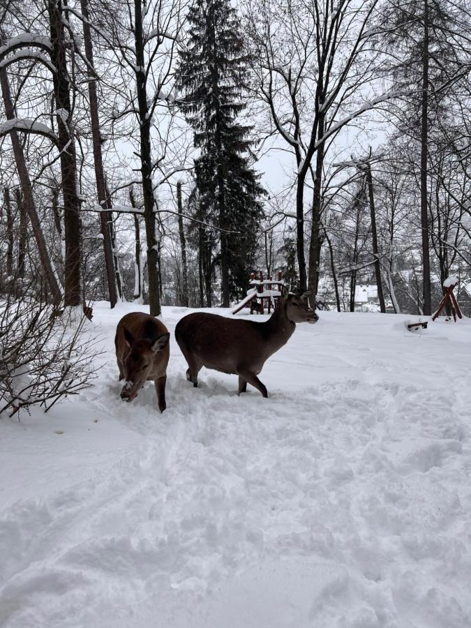 Nauczycielskie Centrum Zakopane Esterno foto
