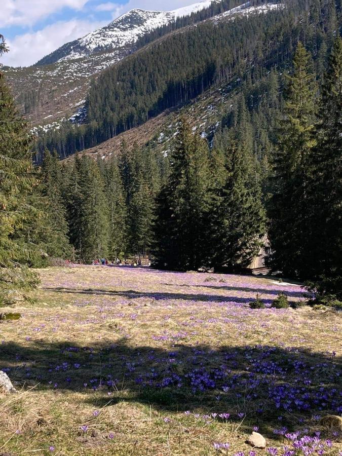 Nauczycielskie Centrum Zakopane Esterno foto